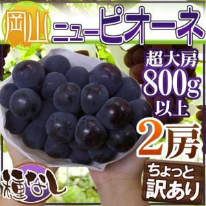 ぶどう ”岡山産 種なしニューピオーネ” 超大房 1房 約800g以上×2房 ちょっと訳あり【予約 9月以降】 送料無料