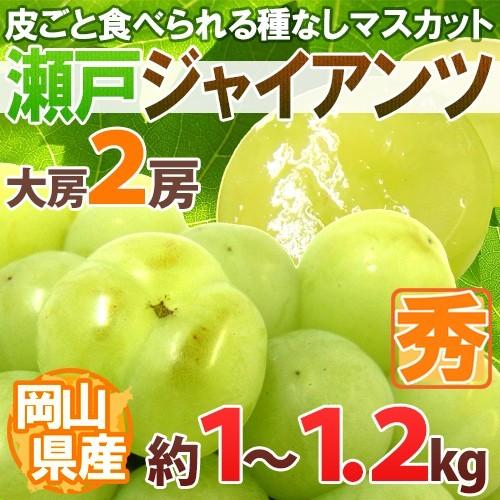 ぶどう 岡山産 ”瀬戸ジャイアンツ” 秀品 大房限定 2房 約1〜1.2kg【予約 9月以降】 送料...