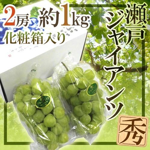 ぶどう 岡山産 ”瀬戸ジャイアンツ” 秀品 2房 約1kg 化粧箱【予約 9月以降】 送料無料[K1...