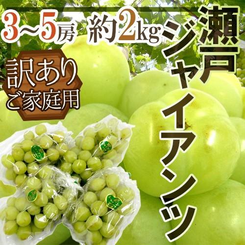 ぶどう 岡山産 ”瀬戸ジャイアンツ” 訳あり 3〜5房 約2kg【予約 9月以降】 送料無料[M1]