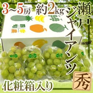 ぶどう 岡山産 ”瀬戸ジャイアンツ” 秀品 3〜5房 約2kg 化粧箱【予約 9月以降】 送料無料[K1]