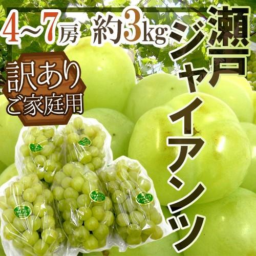 ぶどう 岡山産 ”瀬戸ジャイアンツ” 訳あり 4〜7房 約3kg【予約 9月以降】 送料無料[M1]
