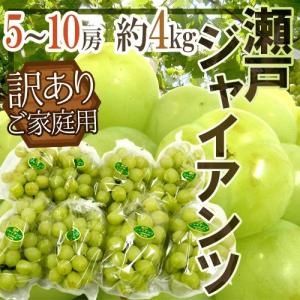 ぶどう 岡山産 ”瀬戸ジャイアンツ” 訳あり 5〜10房 約4kg【予約