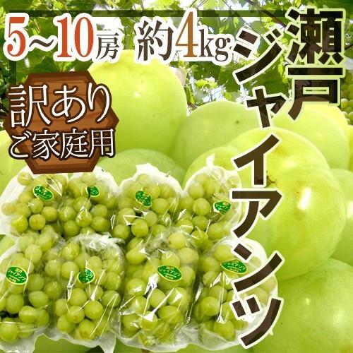 ぶどう 岡山産 ”瀬戸ジャイアンツ” 訳あり 5〜10房 約4kg【予約 9月以降】 送料無料[M1...