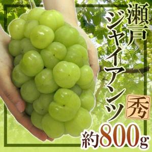 ぶどう 岡山産 ”瀬戸ジャイアンツ” 秀品 超大房 約800g以上【予約 9月以降】