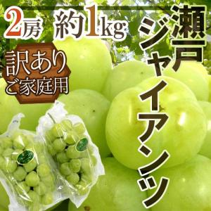 ぶどう 岡山産 ”瀬戸ジャイアンツ” 訳あり 2房 約1kg ぶどう【予約 8月以降】