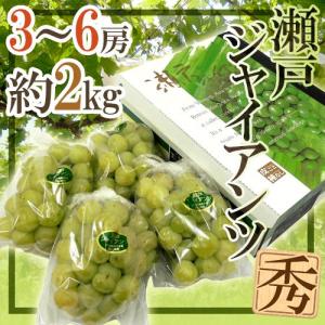 国産松茸” 訳あり 約400g 大きさおまかせ 産地厳選【予約 9月
