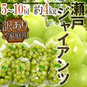 ぶどう ぶどう 岡山産 ”瀬戸ジャイアンツ” 訳あり 5〜10房 約4kg【予約