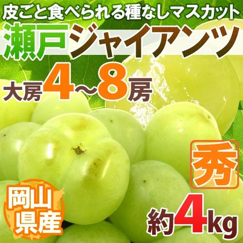 ぶどう 岡山産 ”瀬戸ジャイアンツ” 大房限定 4〜8房 約4kg ぶどう[M2]【予約 8月以降】...