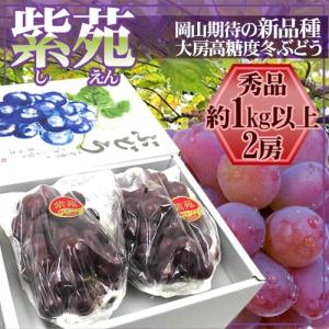 沖永良部島 島バナナ使用 BASHAMU no Liqueur ラムベースのリキュール