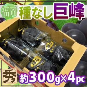 ぶどう 福岡県 八女産 ”種なし巨峰” 秀品 約300g×4pc 合計約1.2kg【予約 6月末以降】 送料無料