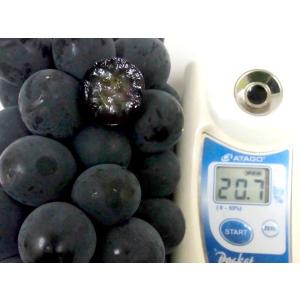 ぶどう 福岡県 八女産 ”種なし巨峰” 秀品 ...の詳細画像1