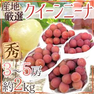 ぶどう ”クイーンニーナ” 秀品 3〜5房 約2kg 産地厳選 赤ぶどう【予約 9月下旬以降】 送料無料