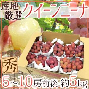 ぶどう ”クイーンニーナ” 秀品 5〜10房 約5kg 産地厳選 赤ぶどう【予約 9月下旬以降】 送料無料