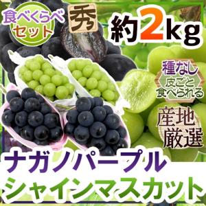 ”シャインマスカット＆ナガノパープル” 秀品 合計約2kg 産地厳選 食べ比べ ぶどう【予約 9月以降】 送料無料