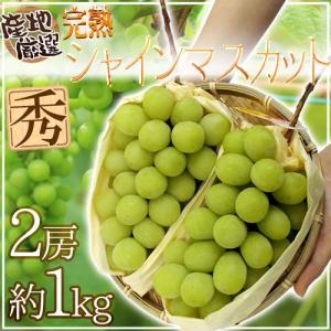 ”完熟シャインマスカット” 秀品 2房 約1kg...の商品画像