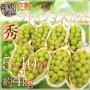 ”完熟シャインマスカット” 秀品 5〜10房 約4kg 産地厳選【予約 8月下旬以降】 送料無料