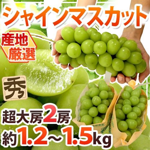 ”シャインマスカット” 秀品 超大房限定 2房 約1.2〜1.5kg 産地厳選【予約 8月下旬以降】...