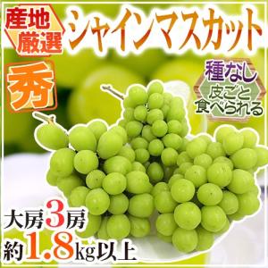 ”シャインマスカット” 秀品 大房限定 3房 約1.8kg〜2kg 産地厳選【予約 8月下旬以降】 送料無料