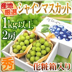 ”シャインマスカット” 秀品 2房 約1kg以上 化粧箱 産地厳選【予約 8月下旬以降】 送料無料