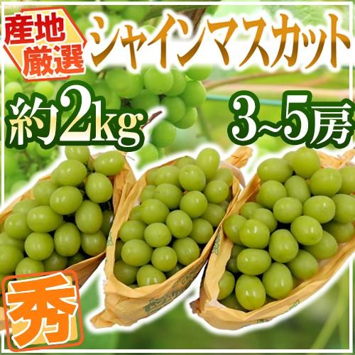 ”シャインマスカット” 秀品 3〜5房 約2kg 産地厳選【予約 8月下旬以降】 送料無料