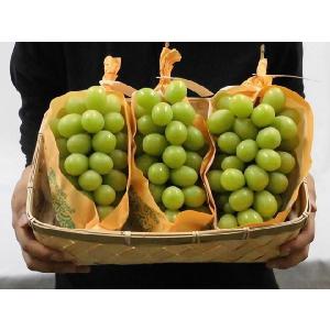 ”シャインマスカット” 秀品 3〜5房 約2k...の詳細画像1