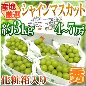 山梨・長野産 ”太陽プラム” 秀品 約3kg 大きさおまかせ すもも【予約 8
