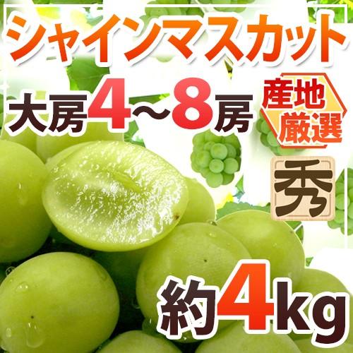 ”シャインマスカット” 秀品 大房限定 4〜8房 約4kg 産地厳選[M2]【予約 8月下旬以降】 ...