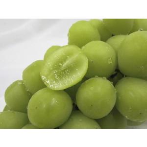 ”シャインマスカット” 秀品 1房 約500g...の詳細画像3