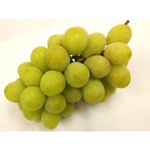 ”シャインマスカット” ちょっと訳あり 約5k...の詳細画像1