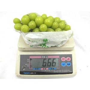 ”シャインマスカット” 秀品 大房 約600g...の詳細画像1