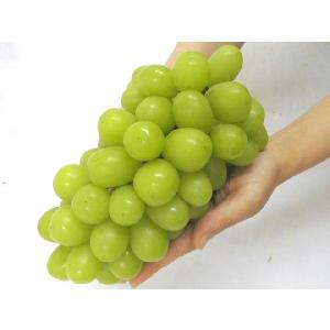 ”シャインマスカット” 秀品 大房 約600g...の詳細画像4