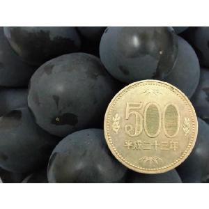 ぶどう ”種なし巨峰” 秀品 約800g 化粧...の詳細画像2