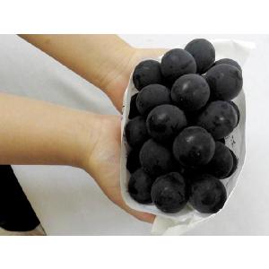 ぶどう ”種なし巨峰” 秀品 約800g 化粧...の詳細画像3