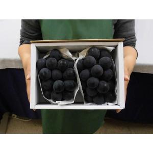 ぶどう ”種なし巨峰” 秀品 約800g 化粧...の詳細画像4