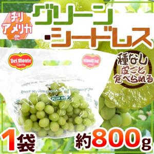 ぶどう 種なしぶどう ”グリーンシードレス” 1袋 約800g ちょっと訳あり チリ・アメリカ産他 青ぶどう【予約 入荷次第発送】 送料無料