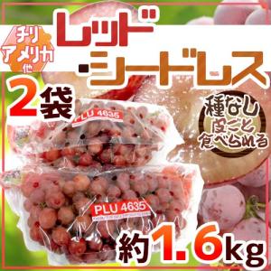 ぶどう 種なしぶどう ”レッドシードレス” 2袋 約1.6kg ちょっと訳あり チリ・アメリカ産他 赤ぶどう【予約 入荷次第発送】 送料無料