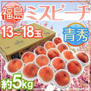 【送料無料】福島県産 ”ミスピーチ” 青秀品 13〜18玉 ...