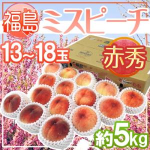 福島県産 ”ミスピーチ” 赤秀品 13〜18玉 約5kg 産地箱【予約 7月下旬以降】 送料無料