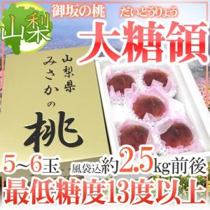 【送料無料】山梨県 最高峰桃 ”大糖領” 5〜6個入り 約2...