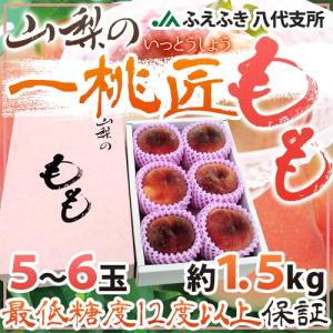 山梨県 JAふえふき 八代地区 ”一桃匠” 5〜6玉入り 約1.5kg 化粧箱【予約 6月末以降】 送料無料