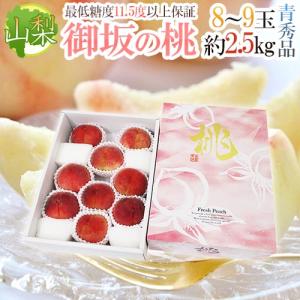 山梨県産 ”一宮 プレミアムピーチ 水蜜糖” 2玉入り 約800g（風袋込