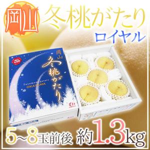 沖縄産 ”キーツマンゴー” 訳あり 5玉 約3〜4kg【予約 8月中旬以降