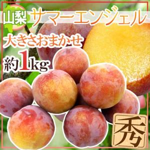 山梨県産 ”サマーエンジェル” 秀品 約1kg 大きさおまかせ プラム【予約 7月下旬以降】 送料無料