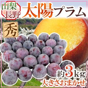 和歌山産 サンタローザ プラム(すもも)約5kg : 果木堂 - 通販 - Yahoo