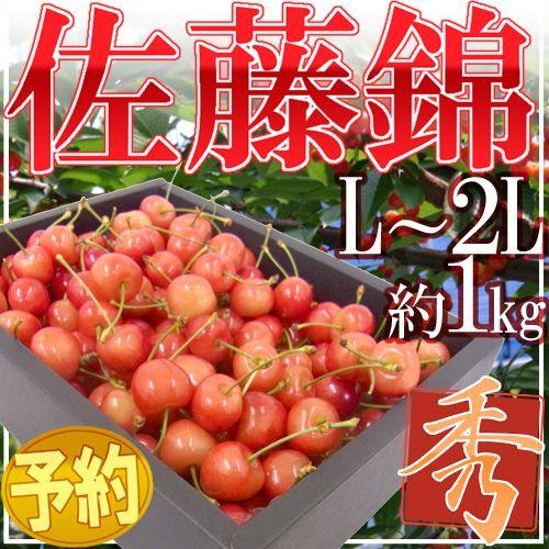 山形産 さくらんぼ ”佐藤錦” 秀品 大粒 L〜2Lサイズ 約1kg【予約 6月下旬以降】 送料無料