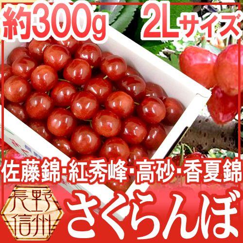 長野産 ”さくらんぼ” 2L 約300g 化粧箱入り バラ詰め 佐藤錦・紅秀峰ほか旬の品種で！【予約...