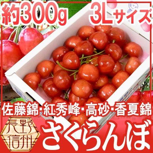 長野産 ”さくらんぼ” 3L 約300g 化粧箱入り バラ詰め 佐藤錦・紅秀峰ほか旬の品種で！【予約...