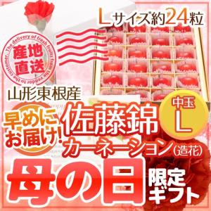 早めにお届け！ 母の日ギフト 山形県東根産 ”さくらんぼ 佐藤錦 L 秀品 チョコ箱 24粒” 【4/29〜5/5のお届け 産地直送 予約】 送料無料