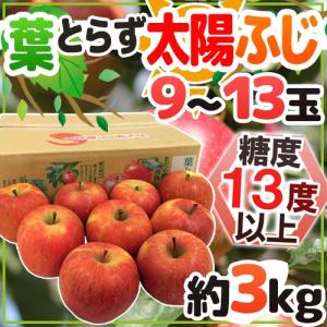 りんご 青森産 JAつがる弘前 ”葉とらず太陽ふじりんご” 9〜13玉 約3kg 産地箱 サンふじりんご【予約 1月以降】 送料無料